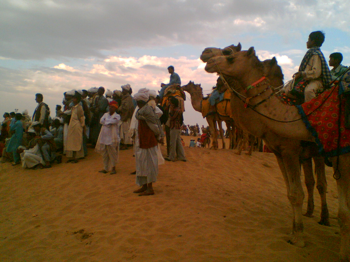 5Nights 06Days Packages Jaipur-Ajmer-Pushkar-Udaipur